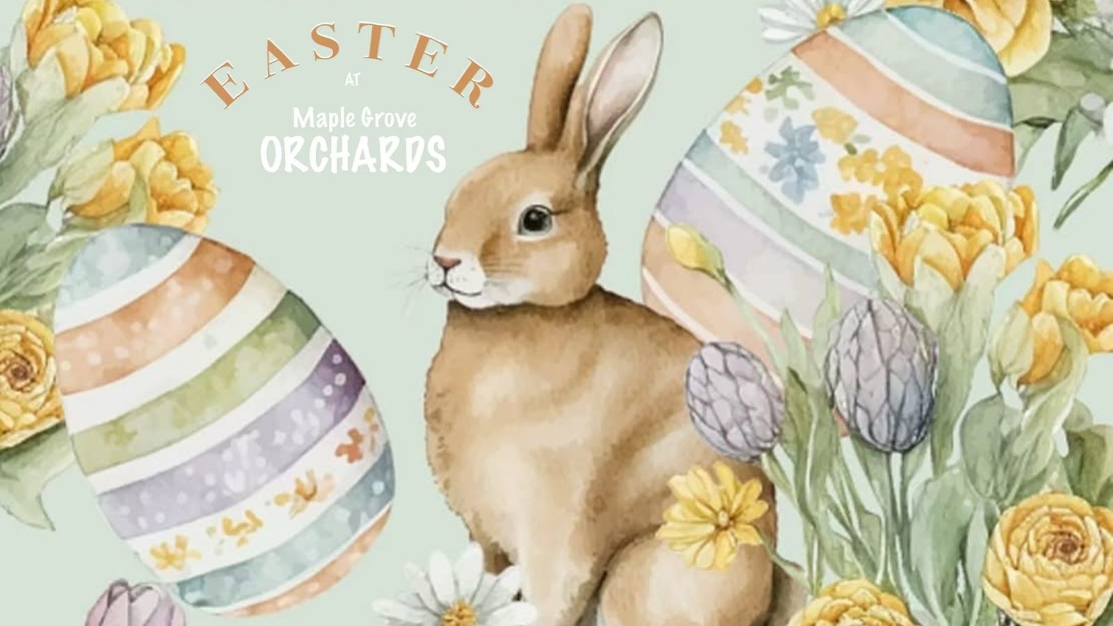 Easter on the farm at Maple Grove Orchards in Bowmanville, Ontario
