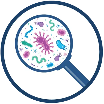 Sexually transmitted infections (STIs)