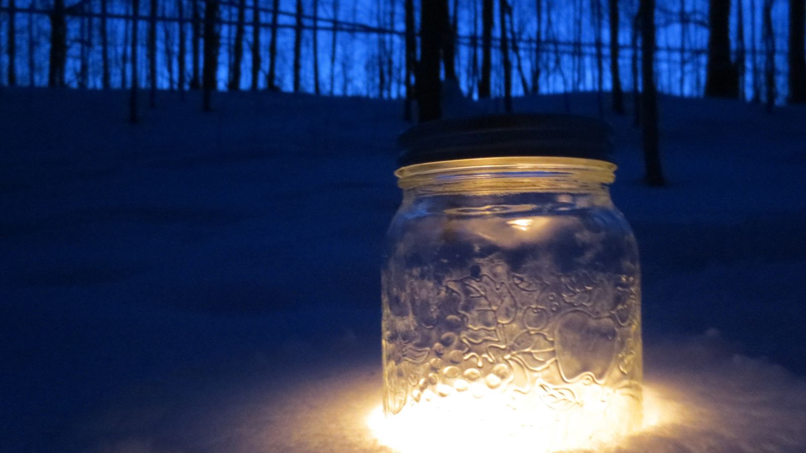 Lantern glowing in the snow at night at Purple Woods Conservation Area in Oshawa, Ontario