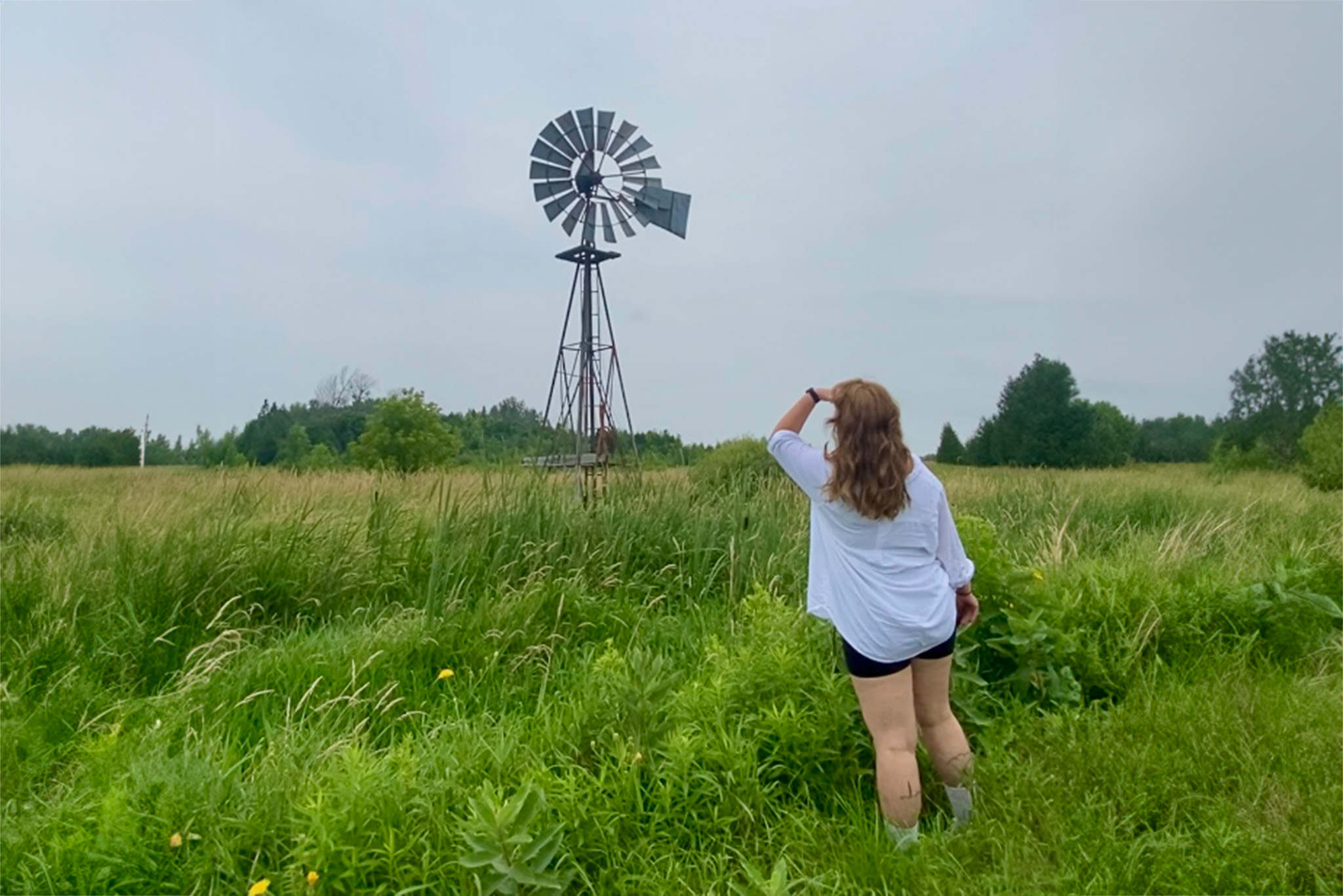 Image of a person standing in a field viewing a windmill 