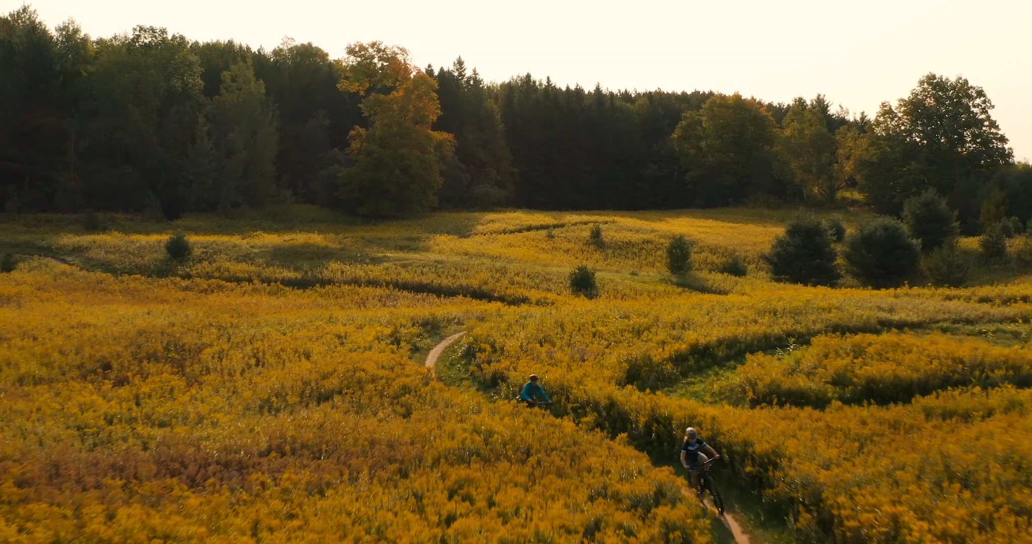 Two cyclists riding in Countryside Preserve Two cyclists riding in Countryside Preserve in Uxbridge. They are on a trail in a large golden field and are riding towards tall trees in a forest.