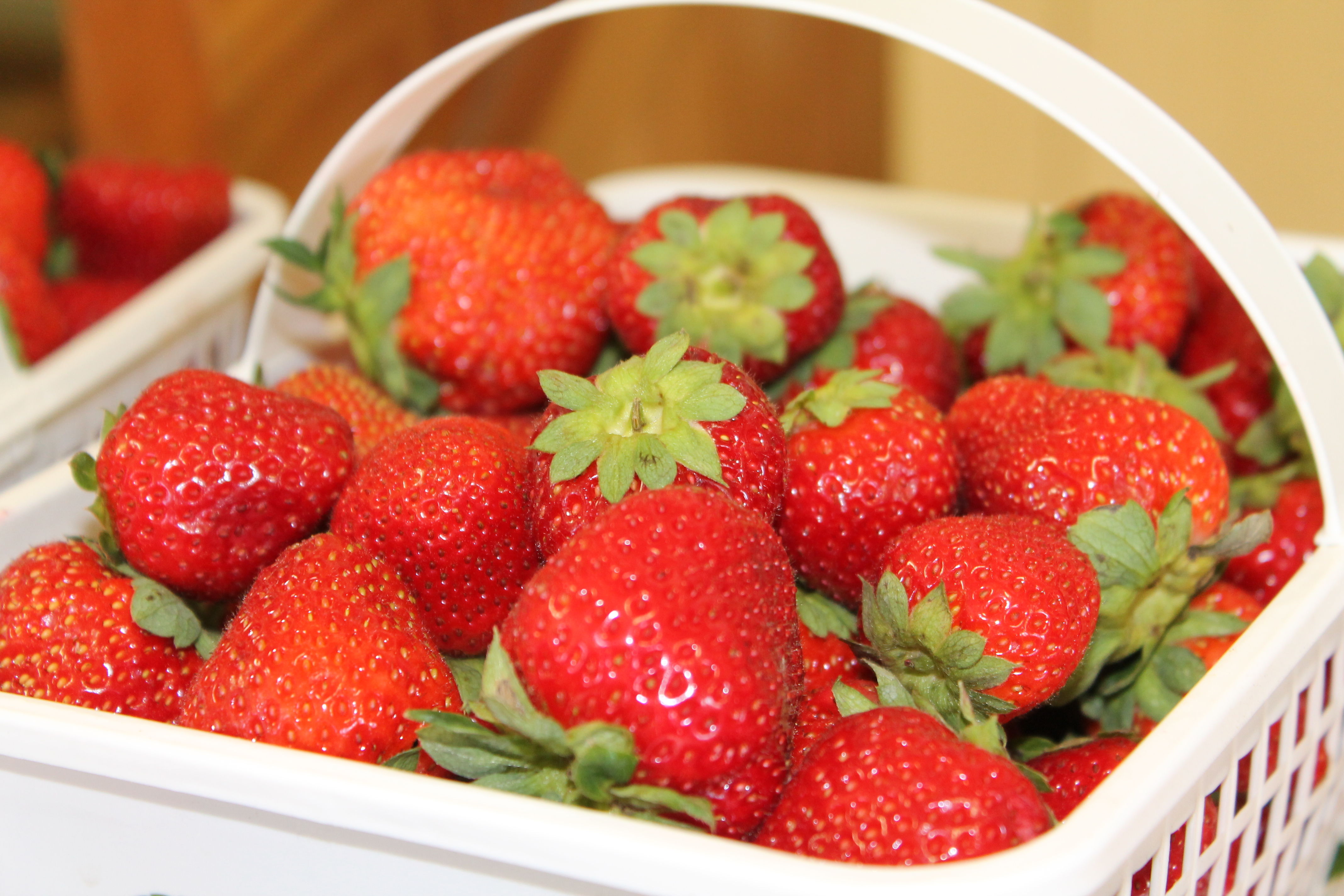 Strawberries in basket Strawberries in a white Foodland Ontario basket