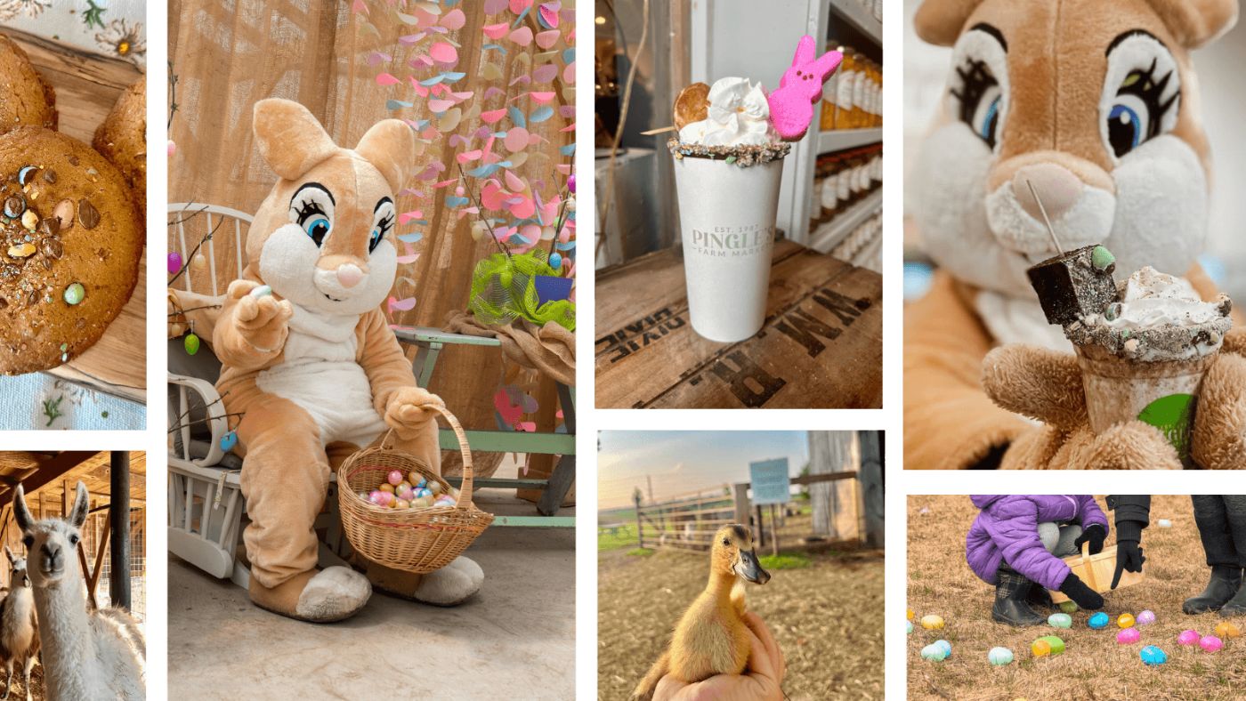 Collage of Easter eggs, farm animals and activities at Pingle's Farm in Clarington, Ontario