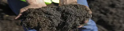 Compost2.jpg